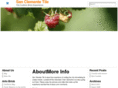 olehansonpaver.com