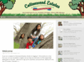 coloradomobilehomesforsale.com