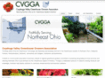 cvgga.com