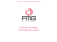 fmg-conseil.com