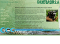 pantiacolla.com