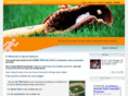 sportznetwork.com