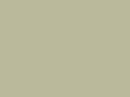 coleehammockhome.com