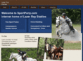 lazerraystables.com