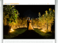 reactionphotography.ca