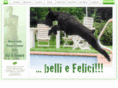 valdivenere.com