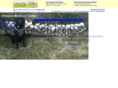 arkansasretrievertrainer.com