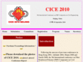 cice2010.net