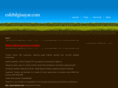 esfebilgisayar.com