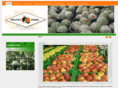frutaspabel.com