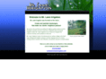 mrlawnirrigation.com