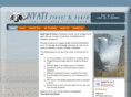 nyati-travel.com