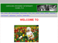 carolinacrossingvet.com