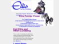 egilellis.com