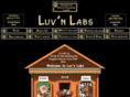 luvnlabs.com