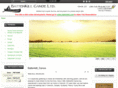 battenkillcanoe.com