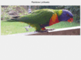 lorikeet.net