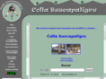 buscapaligru.com