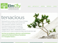 elmcityinc.com