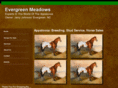 evergreen-meadows.com