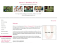 rosenbergstevendpm.com