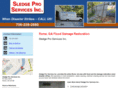 carpetfireandwater.com