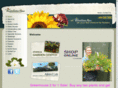 flipseflowers.com