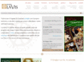 gruppo-la-vis.com