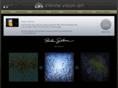 infinitevisionart.com