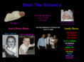 meetthewilsons.com