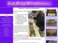 saltpointrestorations.com