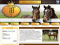 thoroughbreds4sale.com