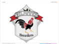 welsummerbreeders.com
