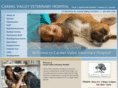 cvvethosp.com