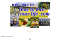 howtoliveyourlife.com