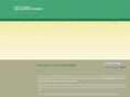 selenointl.com
