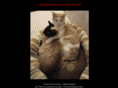 adambresson.com