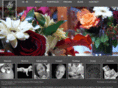 jbeanphotography.com