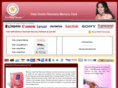 pddmmctool.com