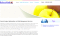 robustlink.com