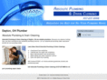 absoluteplumbinganddraincleaning.com