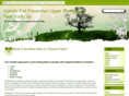 holisticfallprevention.com