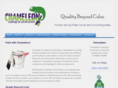paintwithchameleon.com