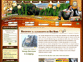 bigbearhoteles.com