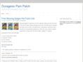 duragesicpainpatch.com