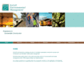 eccellenvironmental.com