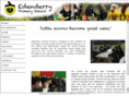 edenderry.org