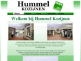 hummel-kozijnen.nl