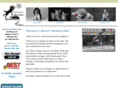 lakeviewvetclinic.com