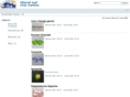 mineralandgemauctions.com